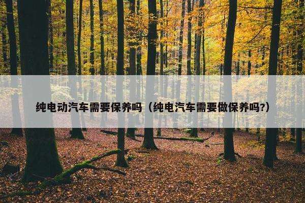 纯电动汽车需要保养吗（纯电汽车需要做保养吗?）