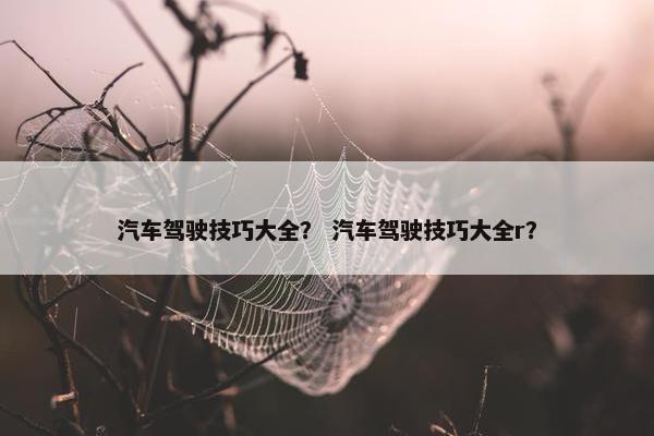 汽车驾驶技巧大全？ 汽车驾驶技巧大全r？