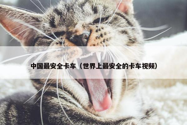 中国最安全卡车（世界上最安全的卡车视频）