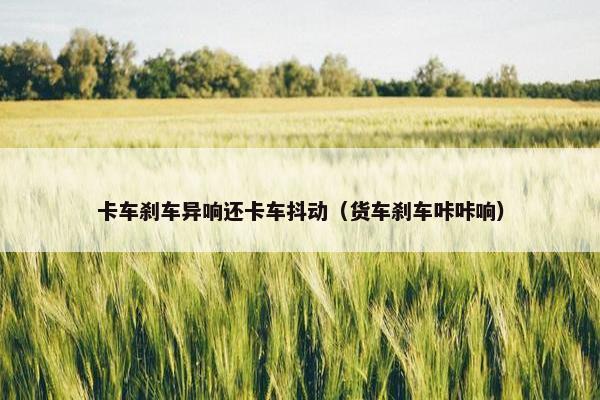 卡车刹车异响还卡车抖动（货车刹车咔咔响）