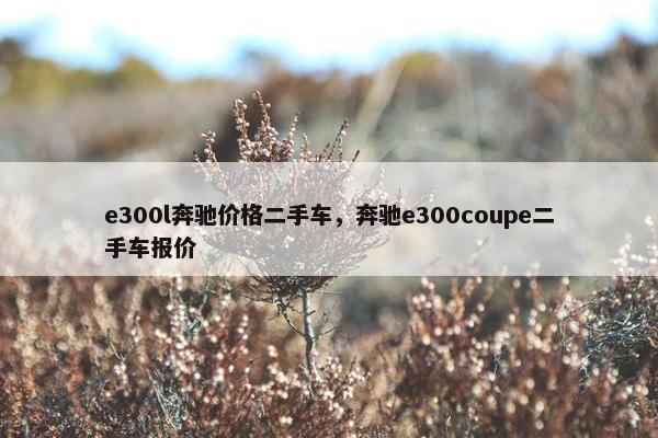 e300l奔驰价格二手车，奔驰e300coupe二手车报价