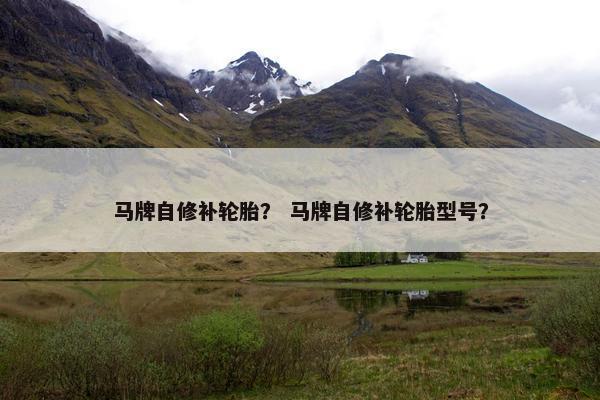 马牌自修补轮胎？ 马牌自修补轮胎型号？