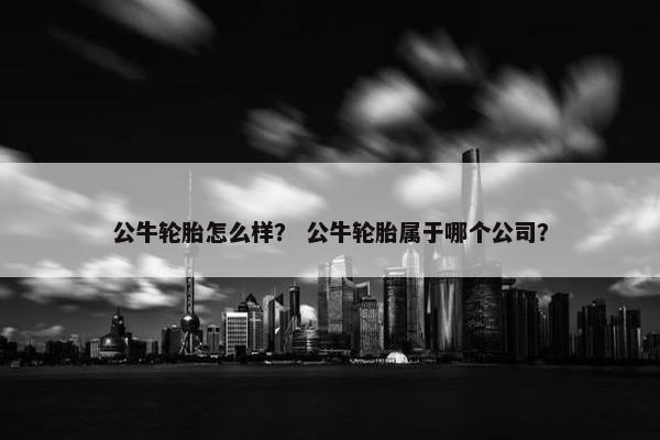 公牛轮胎怎么样？ 公牛轮胎属于哪个公司？