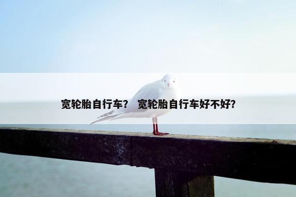 宽轮胎自行车？ 宽轮胎自行车好不好？