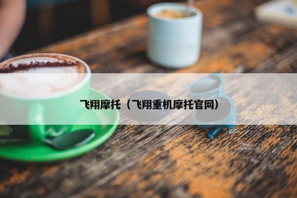 飞翔摩托（飞翔重机摩托官网）
