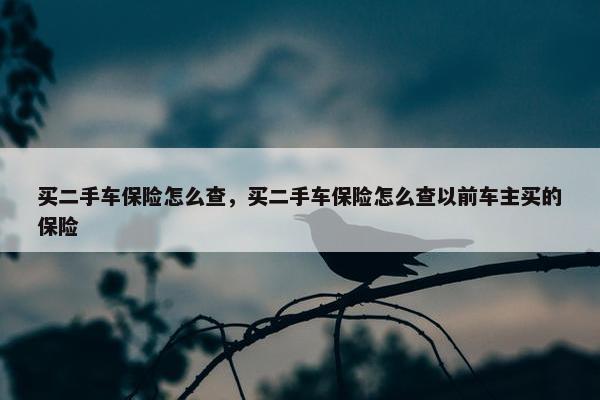 买二手车保险怎么查，买二手车保险怎么查以前车主买的保险