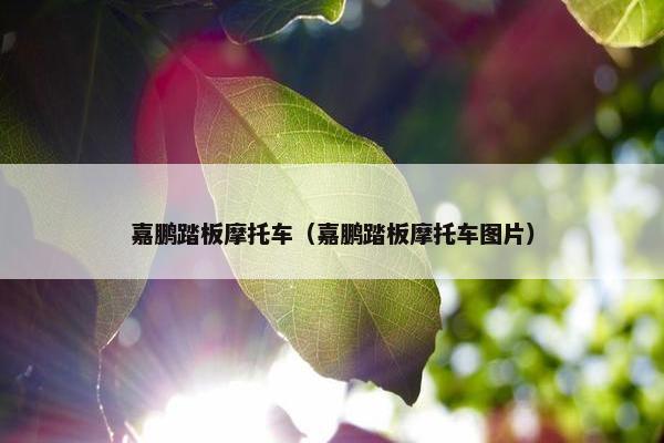 嘉鹏踏板摩托车（嘉鹏踏板摩托车图片）