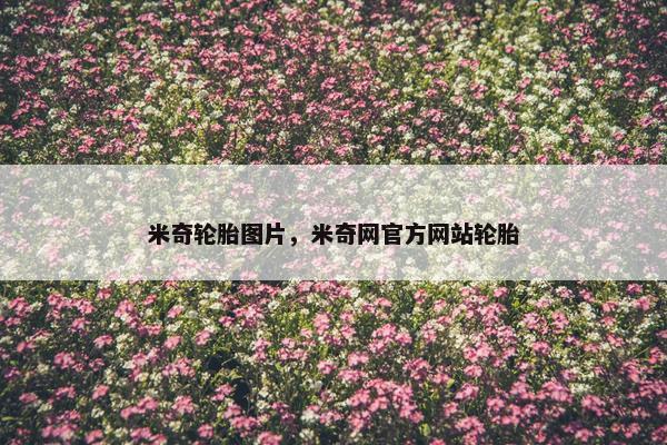 米奇轮胎图片，米奇网官方网站轮胎