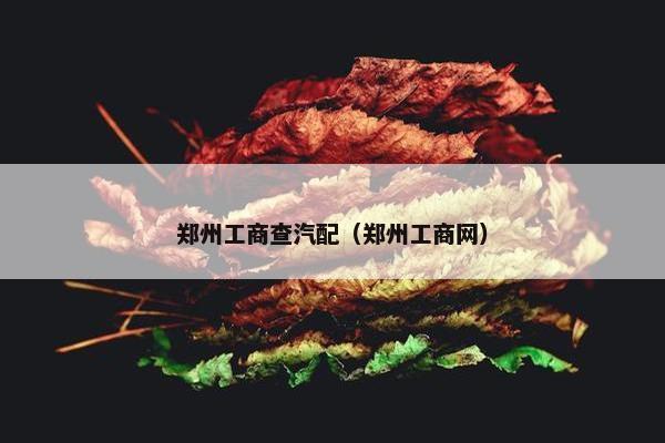 郑州工商查汽配（郑州工商网）
