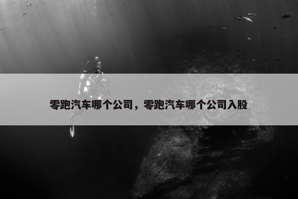 零跑汽车哪个公司，零跑汽车哪个公司入股