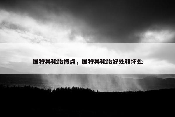 固特异轮胎特点，固特异轮胎好处和坏处