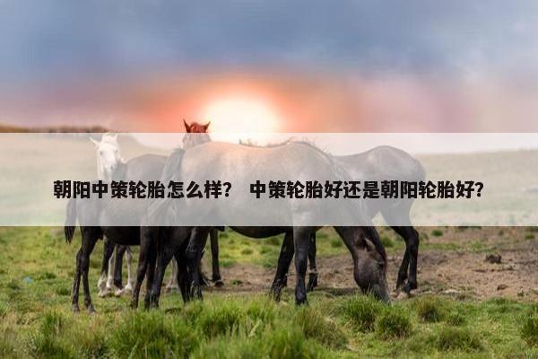 朝阳中策轮胎怎么样？ 中策轮胎好还是朝阳轮胎好？