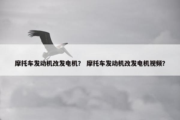 摩托车发动机改发电机？ 摩托车发动机改发电机视频？
