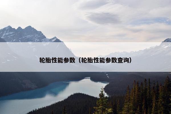 轮胎性能参数（轮胎性能参数查询）