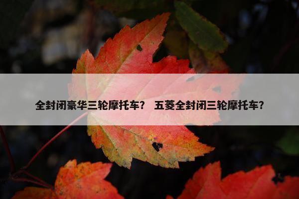 全封闭豪华三轮摩托车？ 五菱全封闭三轮摩托车？