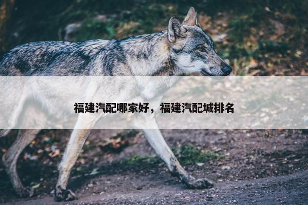 福建汽配哪家好，福建汽配城排名