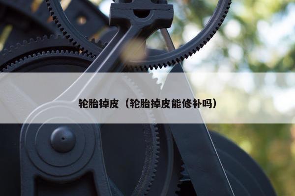 轮胎掉皮（轮胎掉皮能修补吗）