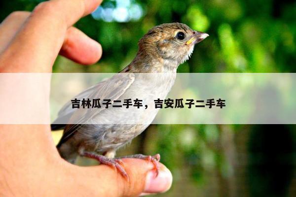 吉林瓜子二手车，吉安瓜子二手车