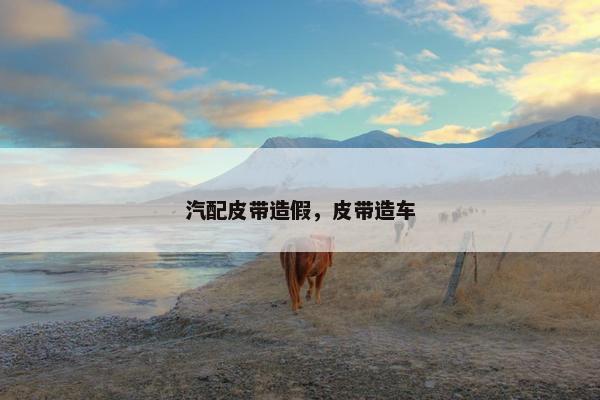 汽配皮带造假，皮带造车