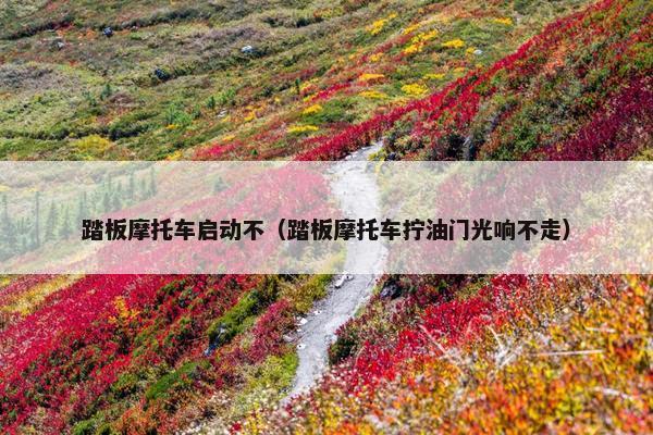 踏板摩托车启动不（踏板摩托车拧油门光响不走）