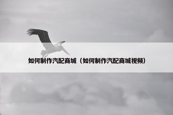 如何制作汽配商城（如何制作汽配商城视频）