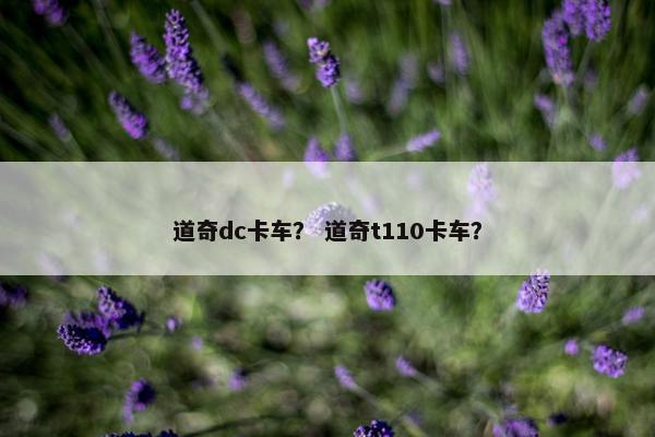 道奇dc卡车？ 道奇t110卡车？