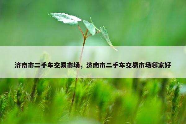济南市二手车交易市场，济南市二手车交易市场哪家好