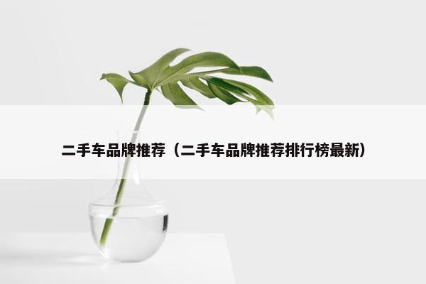 二手车品牌推荐（二手车品牌推荐排行榜最新）