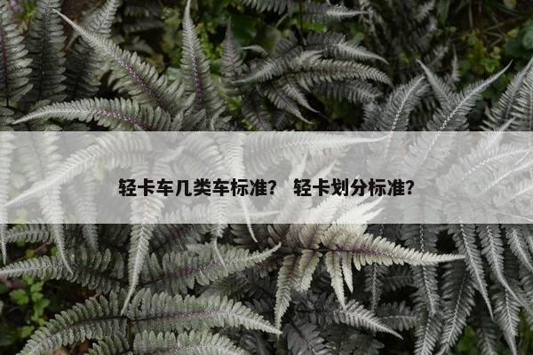 轻卡车几类车标准？ 轻卡划分标准？