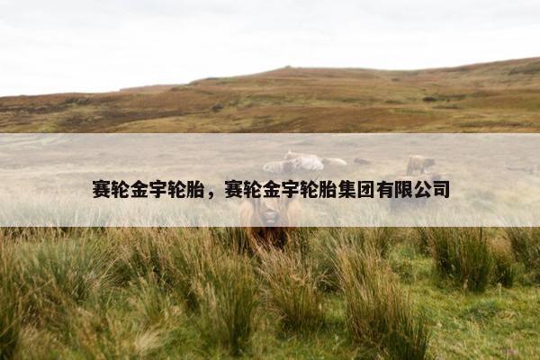 赛轮金宇轮胎，赛轮金宇轮胎集团有限公司