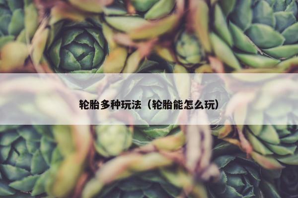 轮胎多种玩法（轮胎能怎么玩）