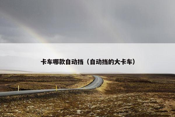 卡车哪款自动挡（自动挡的大卡车）