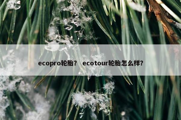 ecopro轮胎？ ecotour轮胎怎么样？