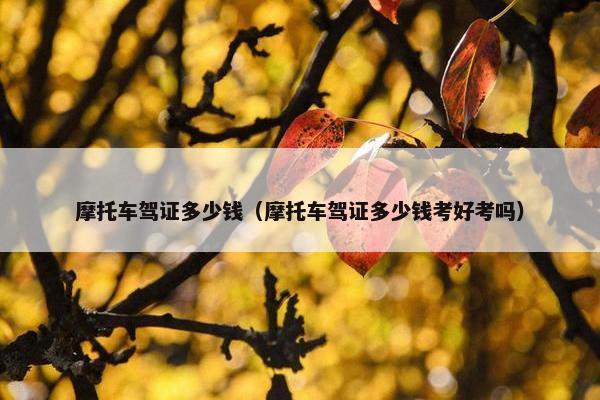 摩托车驾证多少钱（摩托车驾证多少钱考好考吗）