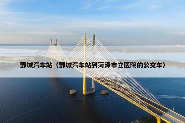 鄄城汽车站（鄄城汽车站到菏泽市立医院的公交车）