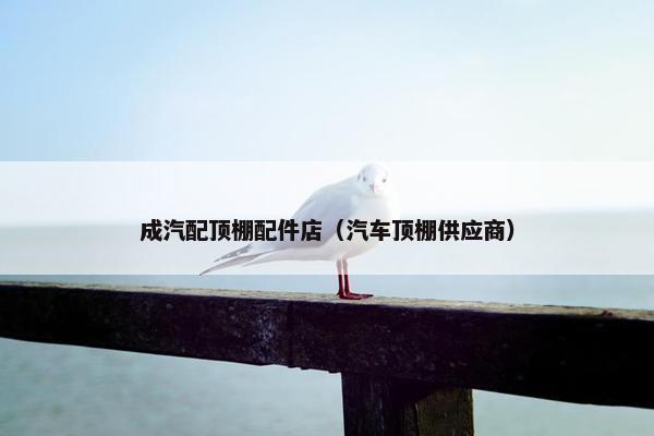 成汽配顶棚配件店（汽车顶棚供应商）