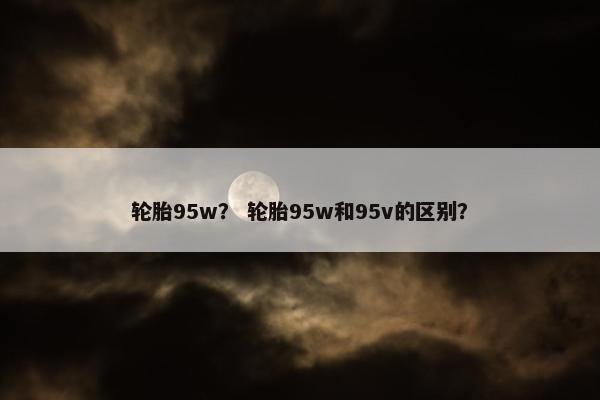 轮胎95w？ 轮胎95w和95v的区别？