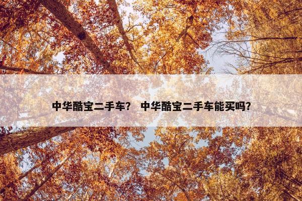 中华酷宝二手车？ 中华酷宝二手车能买吗？