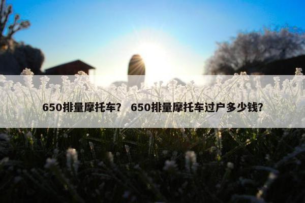 650排量摩托车？ 650排量摩托车过户多少钱？