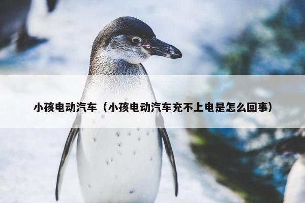 小孩电动汽车（小孩电动汽车充不上电是怎么回事）