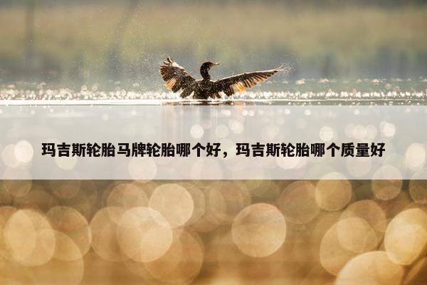 玛吉斯轮胎马牌轮胎哪个好，玛吉斯轮胎哪个质量好