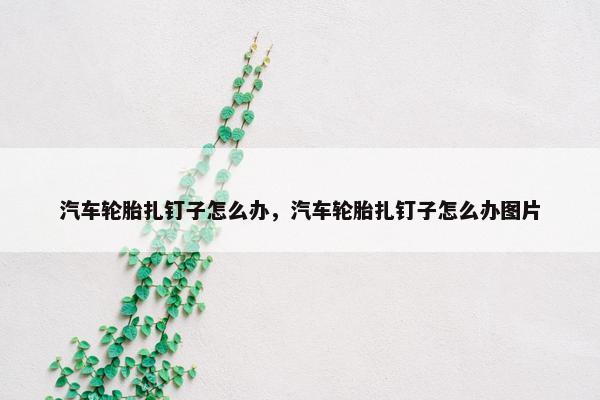 汽车轮胎扎钉子怎么办，汽车轮胎扎钉子怎么办图片