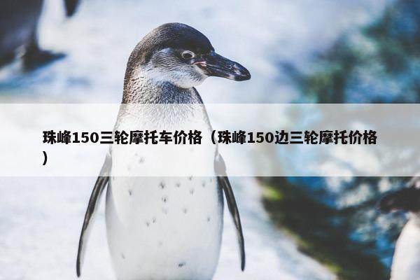 珠峰150三轮摩托车价格（珠峰150边三轮摩托价格）
