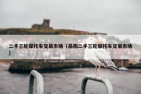 二手三轮摩托车交易市场（岳阳二手三轮摩托车交易市场）