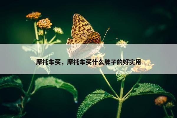 摩托车买，摩托车买什么牌子的好实用