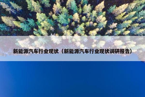 新能源汽车行业现状（新能源汽车行业现状调研报告）