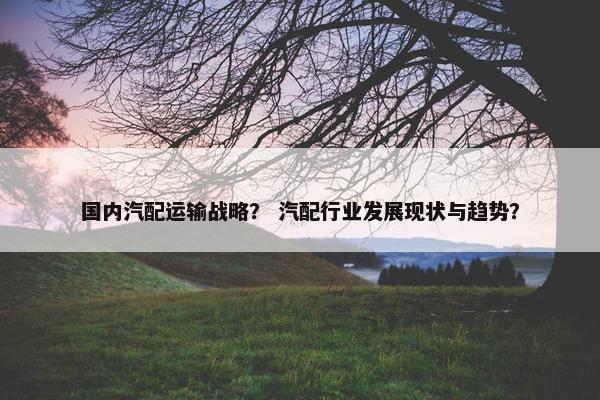 国内汽配运输战略？ 汽配行业发展现状与趋势？