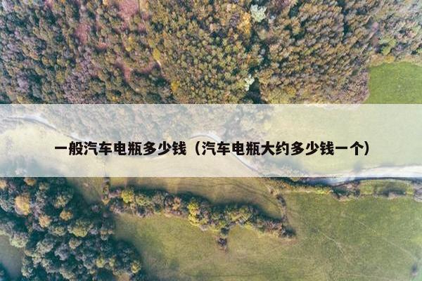 一般汽车电瓶多少钱（汽车电瓶大约多少钱一个）