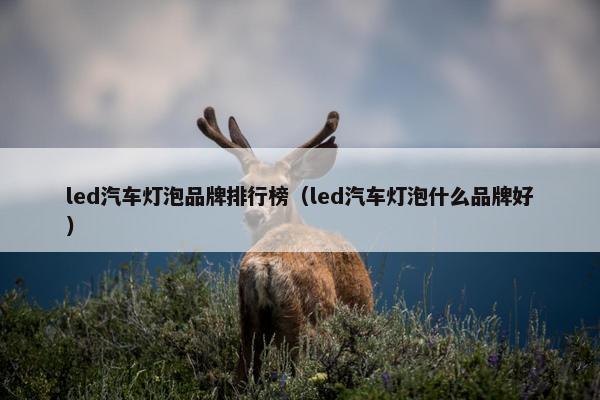 led汽车灯泡品牌排行榜（led汽车灯泡什么品牌好）