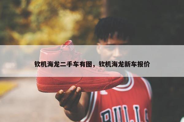 钦机海龙二手车有图，钦机海龙新车报价